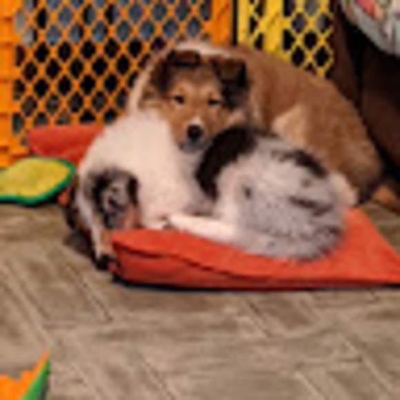 Meet your Posher, Judith - Picture 1 of 1